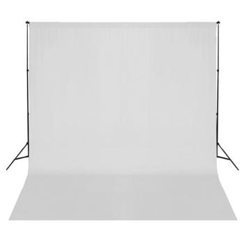 Fotostudio-Set mit Softboxen und Hintergrundsystem