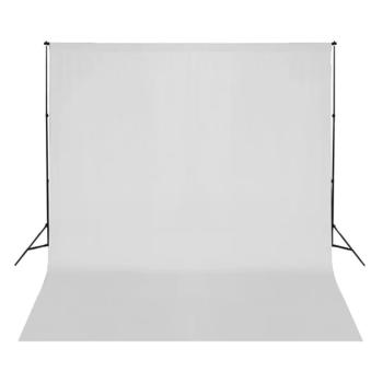 Fotostudio-Set mit Softboxen und Hintergrundsystem