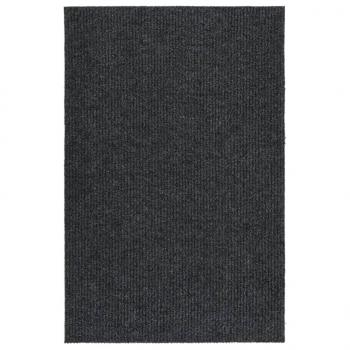 ARDEBO.de - Schmutzfangläufer 100x150 cm Anthrazit