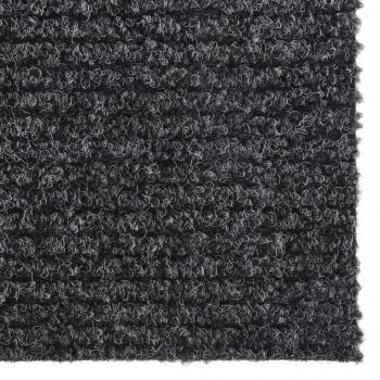 Schmutzfänger 100x300 cm Anthrazit
