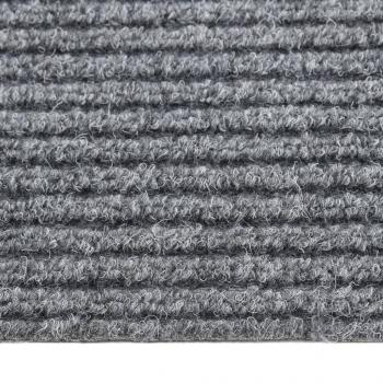 Schmutzfangläufer Grau 100x450 cm