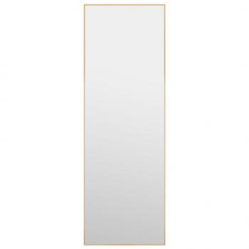 Türspiegel Golden 40x100 cm Glas und Aluminium