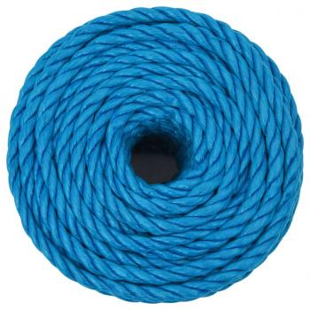 Arbeitsseil Blau 14 mm 25 m Polypropylen