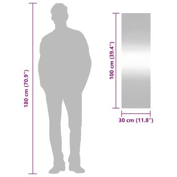 Wandspiegel 30x100 cm Glas Rechteckig