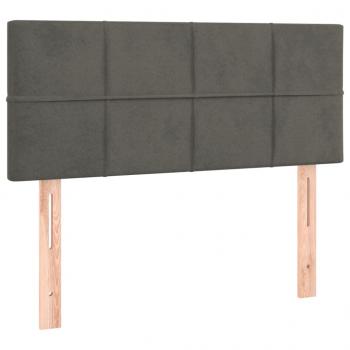 Boxspringbett mit Matratze Dunkelgrau 100x200 cm Samt