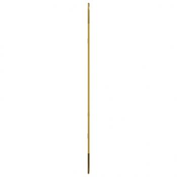 Wandspiegel Golden 80x35 cm Oval