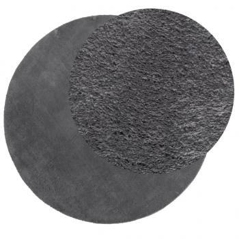 Teppich HUARTE Kurzflor Weich und Waschbar Anthrazit Ø 160 cm