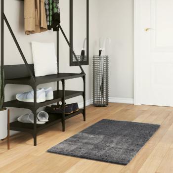 ARDEBO.de - Teppich HUARTE Kurzflor Weich und Waschbar Anthrazit 60x110 cm