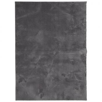 Teppich HUARTE Kurzflor Weich und Waschbar Anthrazit 140x200 cm