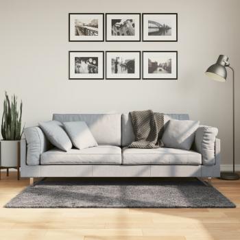 ARDEBO.de - Teppich HUARTE Kurzflor Weich und Waschbar Anthrazit 80x150 cm