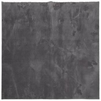 Teppich HUARTE Kurzflor Weich und Waschbar Anthrazit 240x240 cm