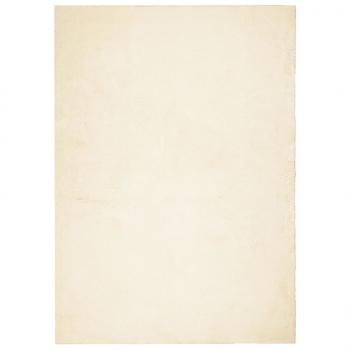 Teppich HUARTE Kurzflor Weich und Waschbar Creme 160x230 cm