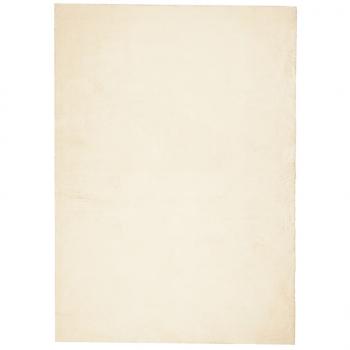 Teppich HUARTE Kurzflor Weich und Waschbar Creme 200x280 cm