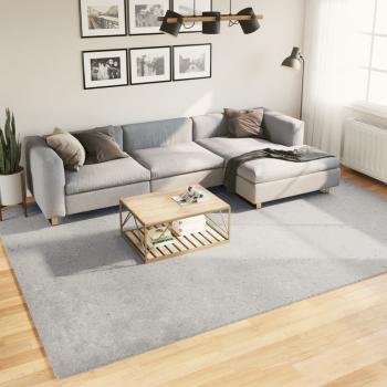 ARDEBO.de - Teppich HUARTE Kurzflor Weich und Waschbar Grau 240x340 cm