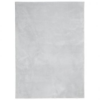 Teppich HUARTE Kurzflor Weich und Waschbar Grau 240x340 cm