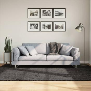 ARDEBO.de - Teppich ISTAN Hochflor Glänzend Anthrazit 160x230 cm