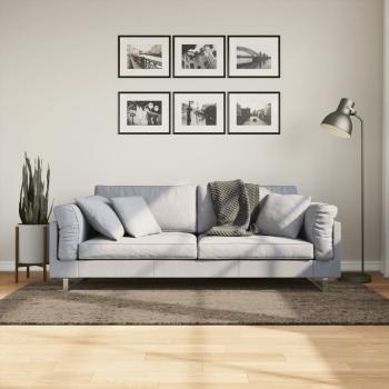 ARDEBO.de - Teppich ISTAN Hochflor Glänzend Grau 100x200 cm