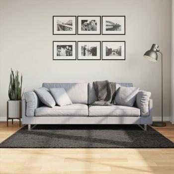 ARDEBO.de - Teppich ISTAN Hochflor Glänzend Anthrazit 120x170 cm