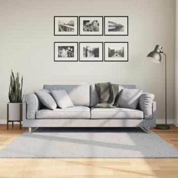 ARDEBO.de - Teppich HUARTE Kurzflor Weich und Waschbar Grau 160x160 cm