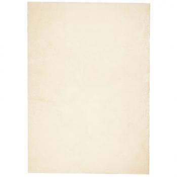 Teppich HUARTE Kurzflor Weich und Waschbar Creme 240x340 cm