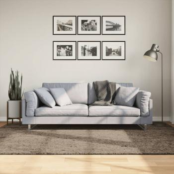ARDEBO.de - Teppich ISTAN Hochflor Glänzend Grau 160x230 cm