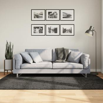 ARDEBO.de - Teppich ISTAN Hochflor Glänzend Anthrazit 140x200 cm