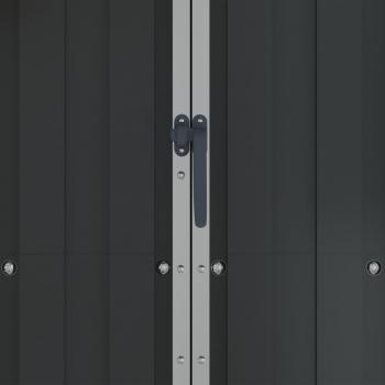 Gerätehaus Anthrazit 116x45x175 cm Verzinkter Stahl