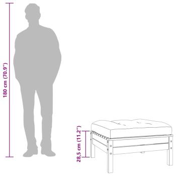 Gartenhocker mit Kissen 2 Stk. Massivholz Douglasie