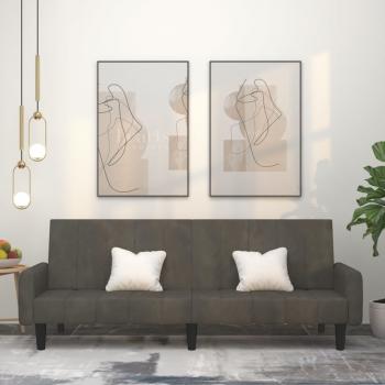 ARDEBO.de - Schlafsofa 2-Sitzer Dunkelgrau Samt