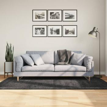 ARDEBO.de - Teppich Shaggy Hochflor Modern Anthrazit 100x200 cm