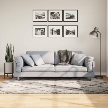 ARDEBO.de - Teppich Shaggy Hochflor Modern Beige und Anthrazit 140x200 cm