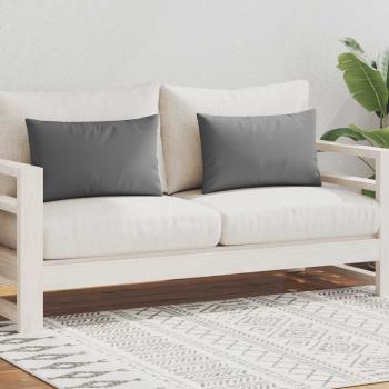 Gartenkissen 2 Stk. 60 x 40 cm Grau