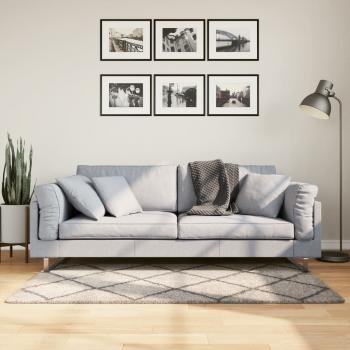 ARDEBO.de - Teppich Shaggy Hochflor Modern Beige und Anthrazit 80x150 cm