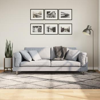 ARDEBO.de - Teppich Shaggy Hochflor Modern Beige und Anthrazit 160x230 cm