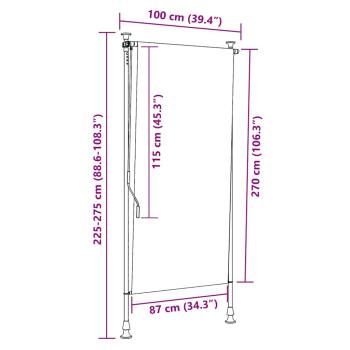 Außenrollo 100 x 270 cm Anthrazit 