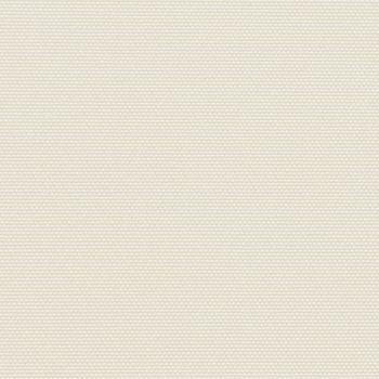 Seitenmarkise Ausziehbar Creme 120x300 cm