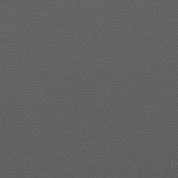 Seitenmarkise Ausziehbar Anthrazit 160x500 cm
