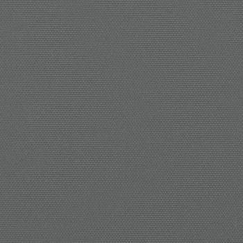 Seitenmarkise Ausziehbar Anthrazit 160x600 cm