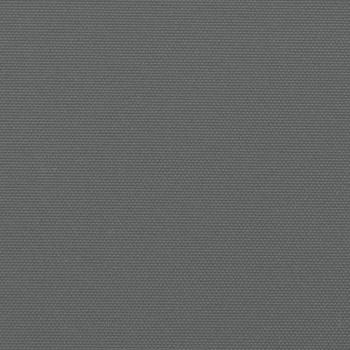Seitenmarkise Ausziehbar Anthrazit 220x600 cm