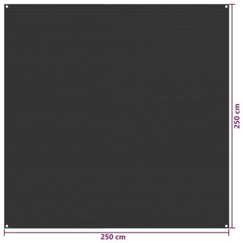 Zeltteppich 250x250 cm Anthrazit HDPE