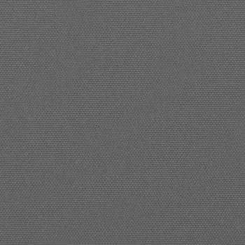 Seitenmarkise Ausziehbar Anthrazit 100x1000 cm