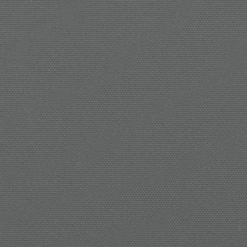 Seitenmarkise Ausziehbar Anthrazit 220x300 cm