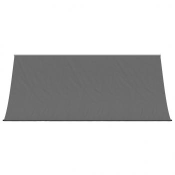 Markise Einziehbar Anthrazit 300x150 cm Stoff und Stahl
