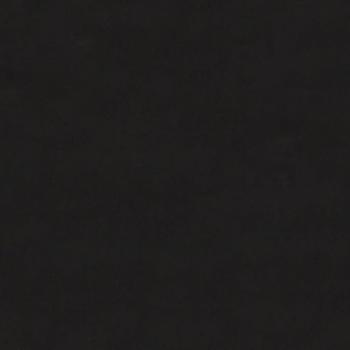 Esszimmerstühle 2 Stk. Schwarz Samt