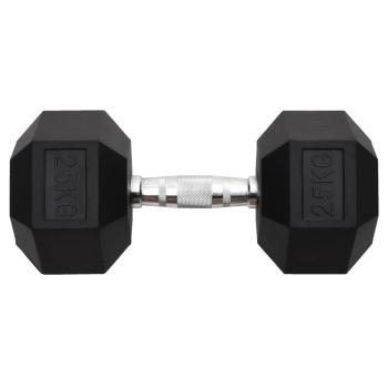 Kurzhantel 25 kg Gusseisen