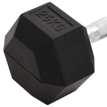 Kurzhantel 25 kg Gusseisen