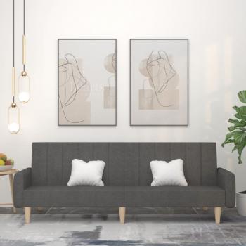 ARDEBO.de - Schlafsofa 2-Sitzer Dunkelgrau Stoff