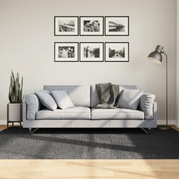 ARDEBO.de - Teppich IZA Kurzflor Skandi-Stil Anthrazit 160x230 cm
