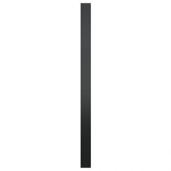 Wandspiegel Schwarz 50 cm
