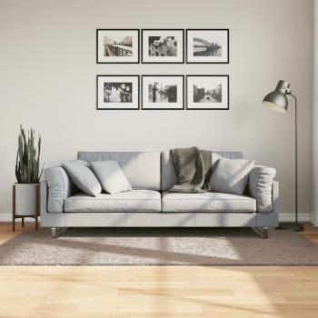 ARDEBO.de - Shaggy-Teppich PAMPLONA Hochflor Modern Beige 100x200 cm